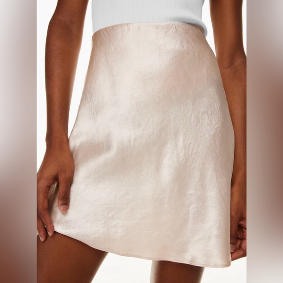 Babaton Dresses & Skirts - Babaton slip mini skirt size:8